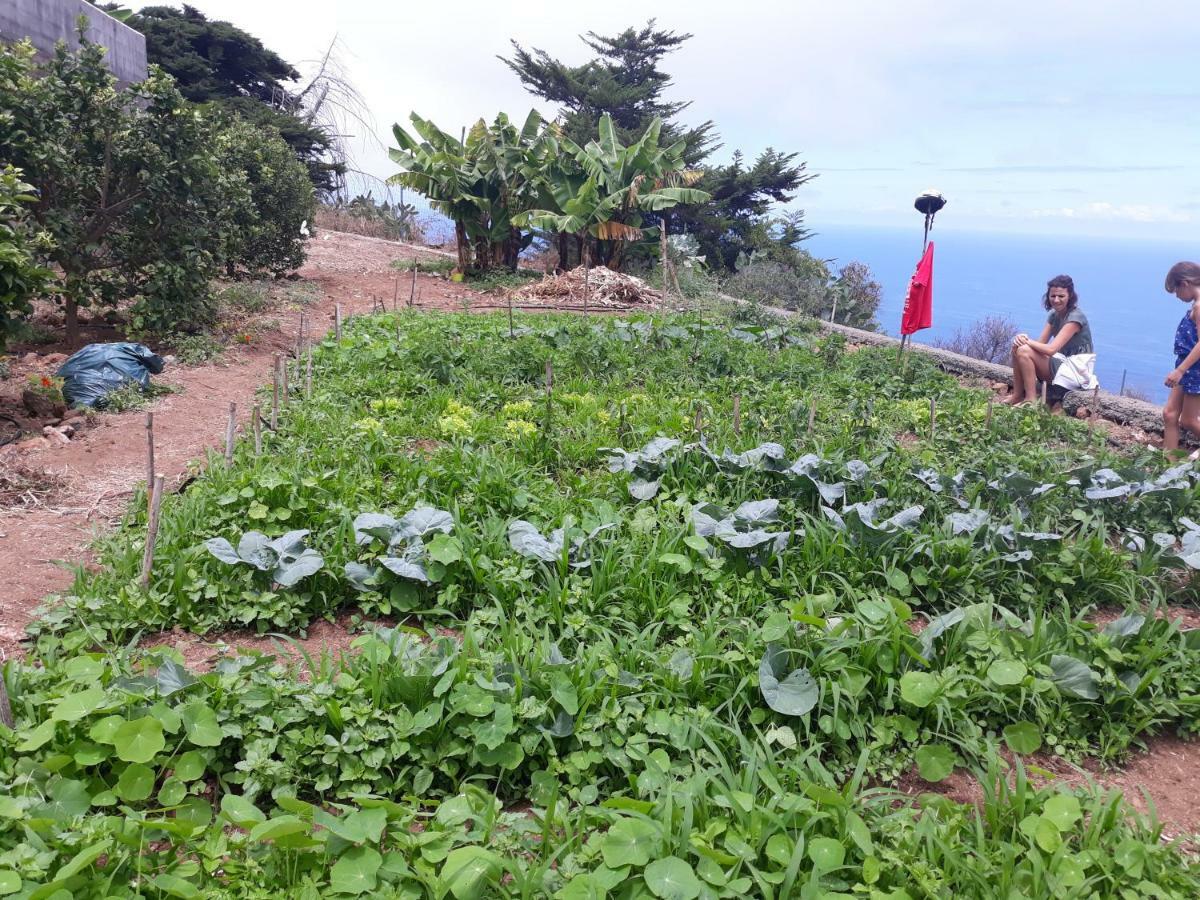 Casas En Finca Ecologica La Espiral, Naturaleza, Calma Y Vistas Al Mar, Icod el Alto Eksteriør billede